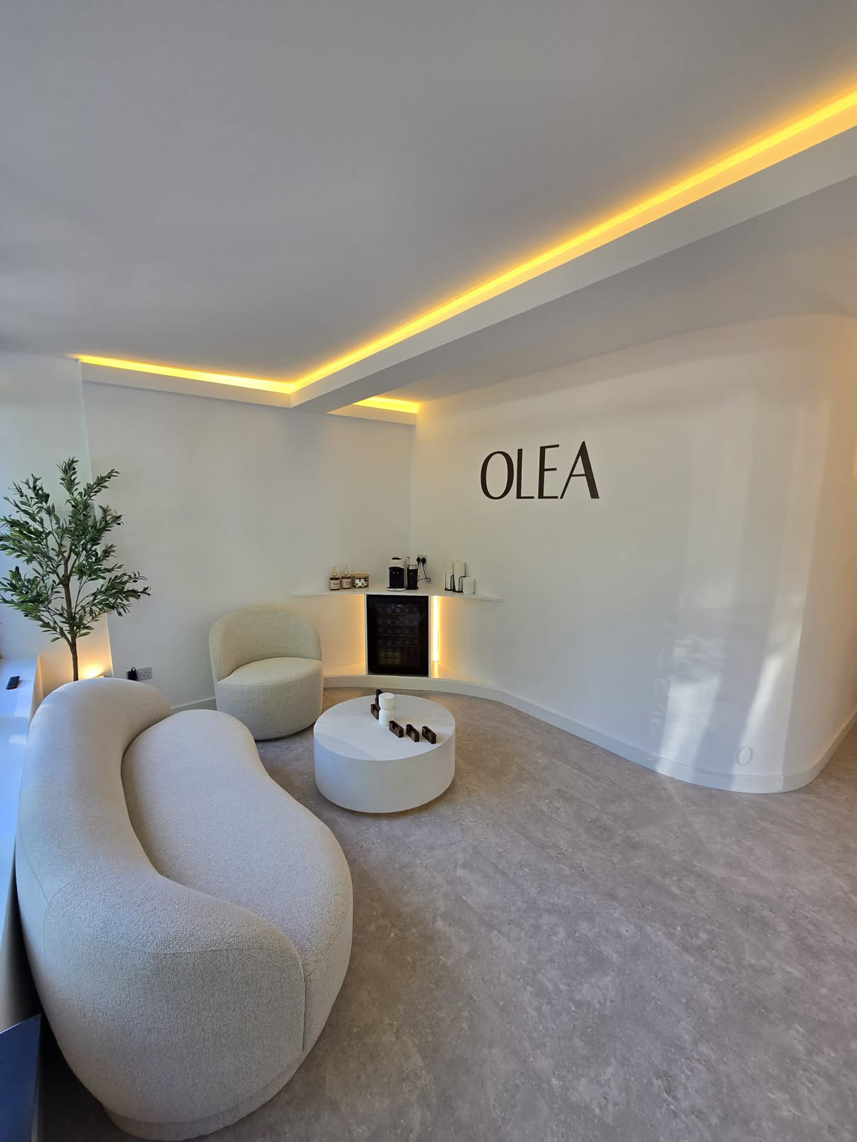 OLÉA reception with curved cream seating, an olive tree and illuminated wall branding